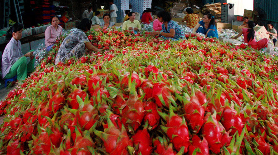 Nông nghiệp là ngành xuất khẩu "nóng" của Việt Nam trong năm 2017. 