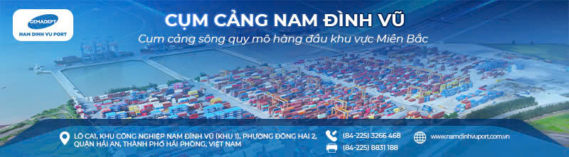 NamDinhVu_2026