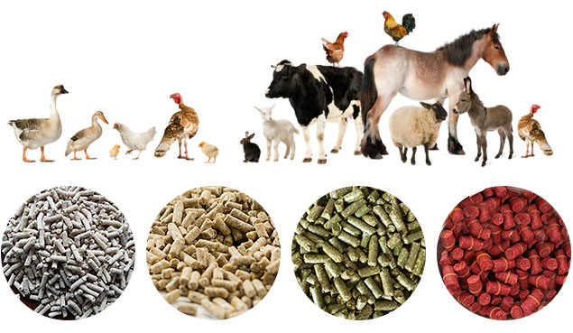 Gửi thông tin kiểm chứng Top 10 Công ty Thức ăn chăn nuôi uy tín năm 2023