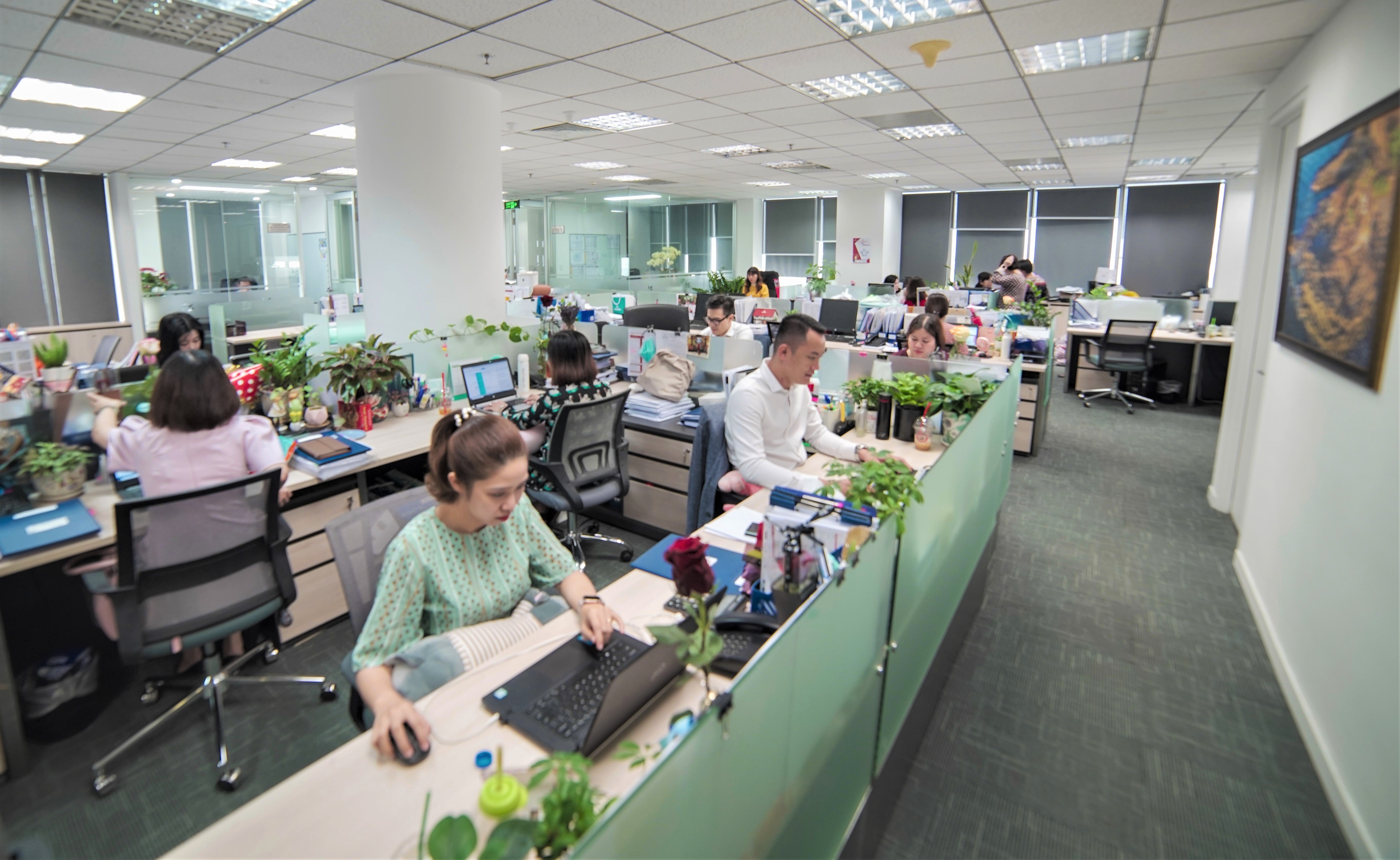 Môi trường làm việc của Nam Long là nơi làm việc tốt nhất thuộc top 10 ngành BĐS và top 100 tại Việt Nam
