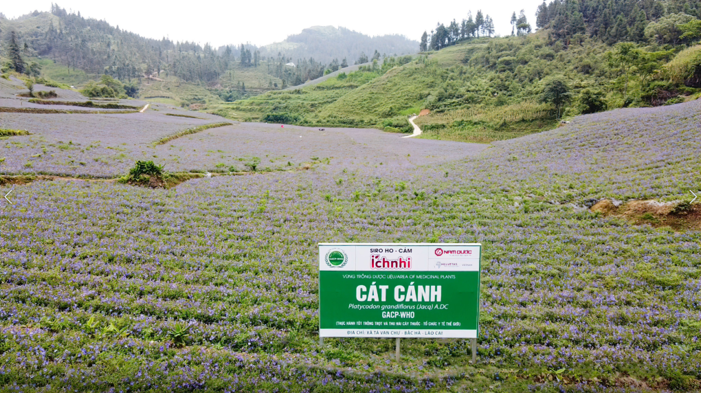 Chiến lược kinh doanh bền vững giúp Nam Dược giữ Top đầu cổ phiếu ngành dược