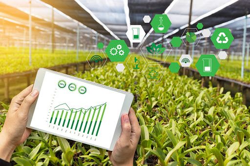 Gửi thông tin kiểm chứng Top 10 Công ty uy tín ngành Nông nghiệp Công nghệ cao 2026